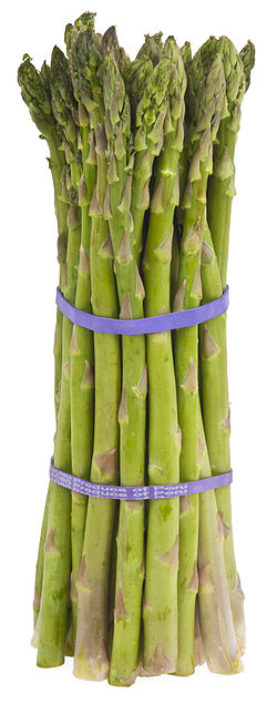 Read more about the article Špargla – ASPARAGUS