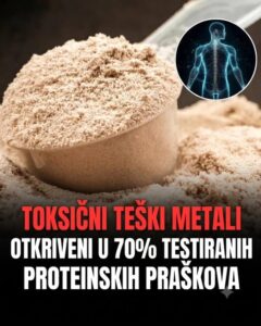 Proteiniski prahovi
