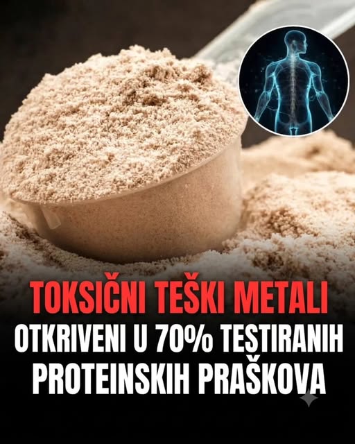 Proteiniski prahovi