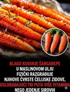 ŠARGAREPA